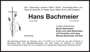 Traueranzeige von Hans Bachmeier von Pegnitz-Zeitung