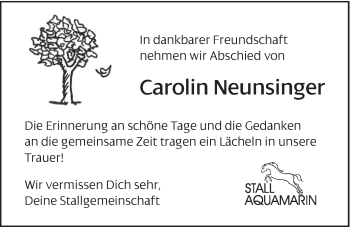 Traueranzeige von Carolin Neunsinger von Hersbrucker Zeitung