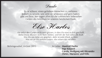 Traueranzeige von Else Harles von Pegnitz-Zeitung