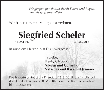 Traueranzeige von Siegfried Scheler von Pegnitz-Zeitung