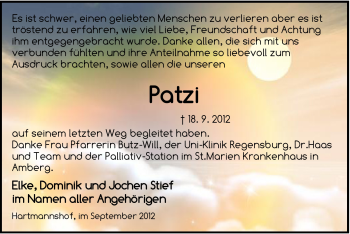 Traueranzeige von Patzi  von Hersbrucker Zeitung