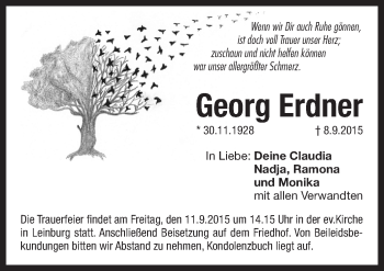 Traueranzeige von Georg Erdner von Pegnitz-Zeitung