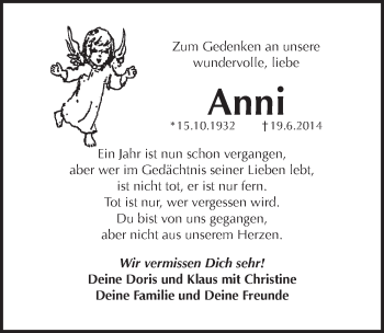 Traueranzeige von Anni Hollweck von Pegnitz-Zeitung