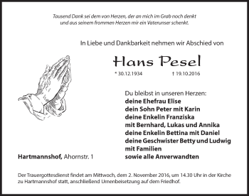 Traueranzeige von Hans Pesel von Hersbrucker Zeitung
