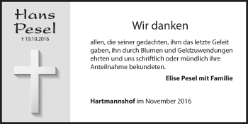 Traueranzeige von Hans Pesel von Hersbrucker Zeitung