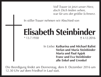 Traueranzeige von Elisabeth Steinbinder von Pegnitz-Zeitung