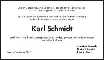 Traueranzeige von Karl Schmidt von Pegnitz-Zeitung