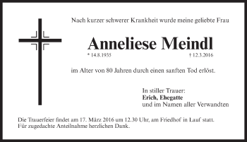 Traueranzeige von Anneliese Meindl von Pegnitz-Zeitung