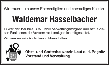 Traueranzeige von Waldemar Hasselbacher von Pegnitz-Zeitung