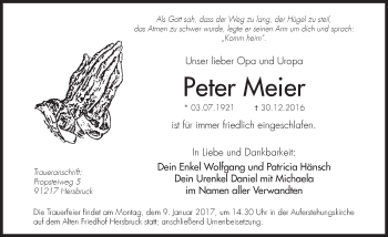 Traueranzeige von Peter Meier von Hersbrucker Zeitung
