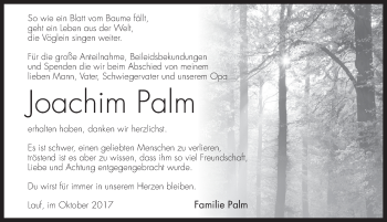 Traueranzeige von Joachim Palm von Pegnitz-Zeitung