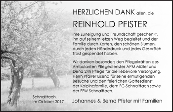 Traueranzeige von Reinhold Pfister von Pegnitz-Zeitung