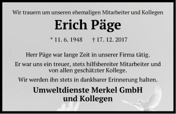 Traueranzeige von Erich Päge von Pegnitz-Zeitung
