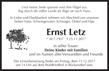 Traueranzeige von Ernst Letz von Pegnitz-Zeitung
