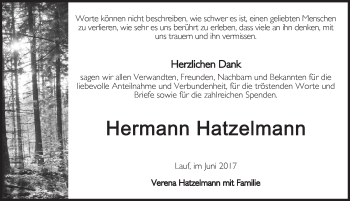 Traueranzeige von Hermann Hatzelmann von Pegnitz-Zeitung