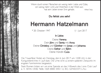 Traueranzeige von Hermann Hatzelmann von Pegnitz-Zeitung