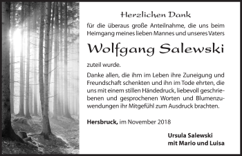 Traueranzeige von Wolfgang Salewski von Hersbrucker Zeitung