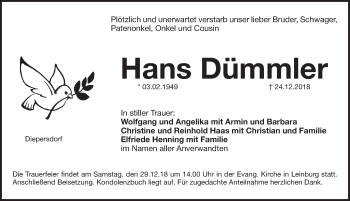 Traueranzeige von Hans Dümmler von Pegnitz-Zeitung