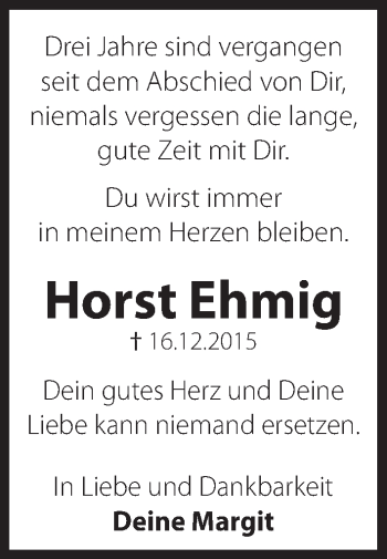 Traueranzeige von Horst Ehmig von Hersbrucker Zeitung