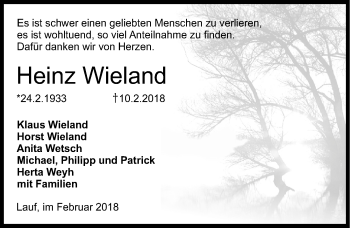 Traueranzeige von Heinz Wieland von Pegnitz-Zeitung