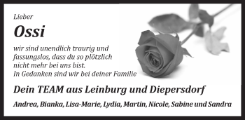 Traueranzeige von Oskar Perl von Pegnitz-Zeitung