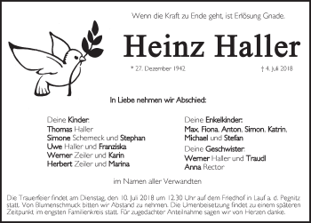 Traueranzeige von Heinz Haller von Pegnitz-Zeitung