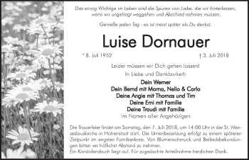 Traueranzeige von Luise Dornauer von Hersbrucker Zeitung