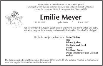 Traueranzeige von Emilie Meyer von Pegnitz-Zeitung