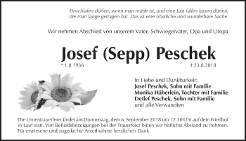 Traueranzeige von Josef Peschek von Pegnitz-Zeitung
