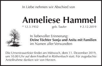 Traueranzeige von Anneliese Hammel von Pegnitz-Zeitung