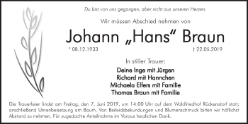 Traueranzeige von Johann Hans Braun von Pegnitz-Zeitung