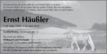 Traueranzeige von Ernst Häußler von Pegnitz-Zeitung