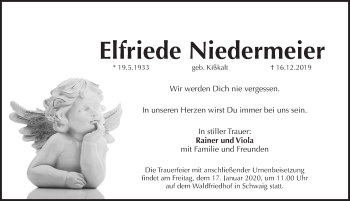 Traueranzeige von Elfriede Niedermeier von Pegnitz-Zeitung