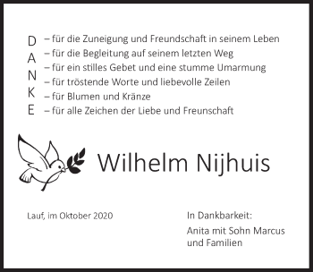 Traueranzeige von Wilhelm Nijhuis von Pegnitz-Zeitung
