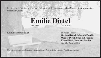 Traueranzeige von Emilie Dietel von Pegnitz-Zeitung