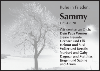 Traueranzeige von Sammy  von Pegnitz-Zeitung