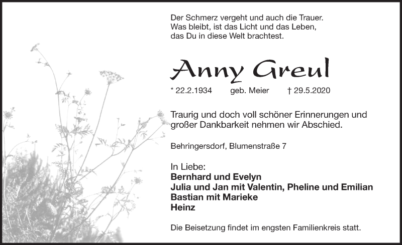  Traueranzeige für Anny Greul vom 03.06.2020 aus Pegnitz-Zeitung