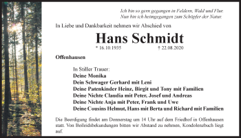 Traueranzeige von Hans Schmidt von Hersbrucker Zeitung