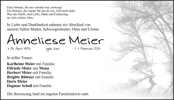 Traueranzeige von Anneliese Meier von Pegnitz-Zeitung