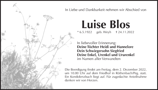 Traueranzeige von Luise Blos von Pegnitz-Zeitung
