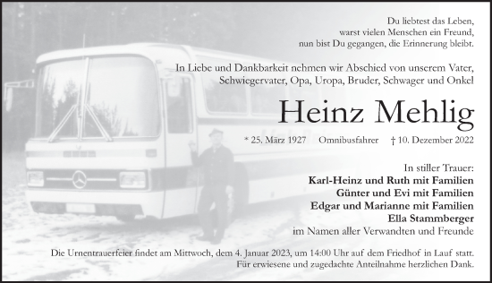 Traueranzeige von Heinz Mehlig von Pegnitz-Zeitung