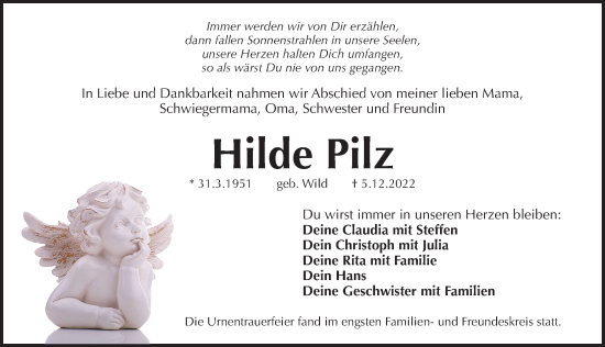 Traueranzeige von Hilde Pilz von Pegnitz-Zeitung