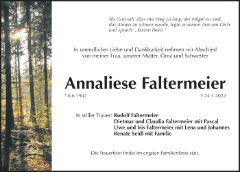Traueranzeige von Annaliese Faltermeier von Pegnitz-Zeitung