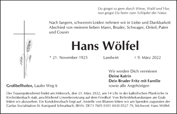 Traueranzeige von Hans Wölfel von Pegnitz-Zeitung