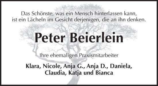 Traueranzeige von Peter Beierlein von Pegnitz-Zeitung