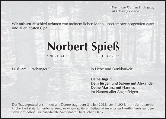 Traueranzeige von Norbert Spieß von Pegnitz-Zeitung