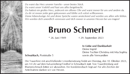Traueranzeige von Bruno Schmerl von Pegnitz-Zeitung