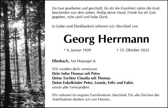 Traueranzeige von Georg Herrmann von Hersbrucker Zeitung Lokal