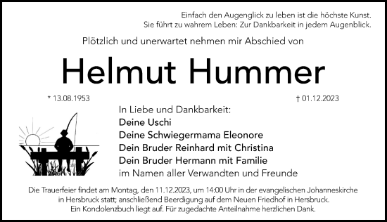 Traueranzeige von Helmut Hummer von Hersbrucker Zeitung Lokal
