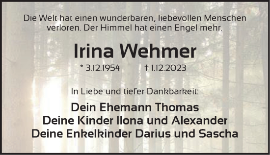 Traueranzeige von Irina Wehmer von Pegnitz-Zeitung